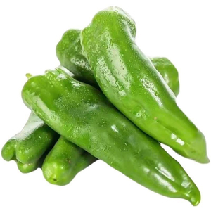 广州牛角尖椒苗超辣香辣羊角尖椒四季阳台盆栽辣椒蔬菜种现拔现发