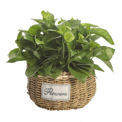 创意手工编织田园花篮