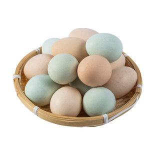 【27g-42g/枚】新鲜农家散养土鸡蛋绿壳乌鸡蛋现捡初生蛋10-40枚