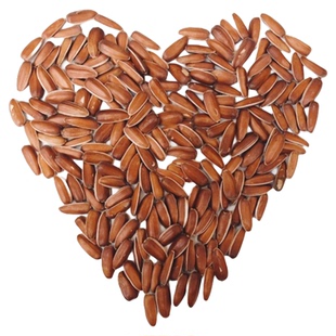 云南2025红皮生瓜子原味晒干葵花籽甜糯大颗粒甜瓜子休闲零食新货