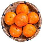 广西恭城巧克力脆柿子10新鲜水果独立包装应当季脆甜硬红火晶整箱