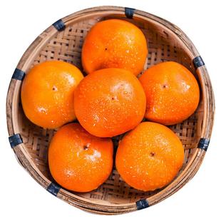 广西恭城巧克力脆柿子10新鲜水果独立真空包装脆甜硬红火晶整箱