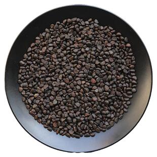 黑丑中药材黑白二丑牵牛子牵牛花喇叭花籽喇叭花籽子可搭白丑粉