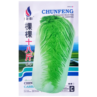 棵棵十八斤F1白菜种子抗寒冬储大白菜种籽农家小院菜园青菜蔬菜孑