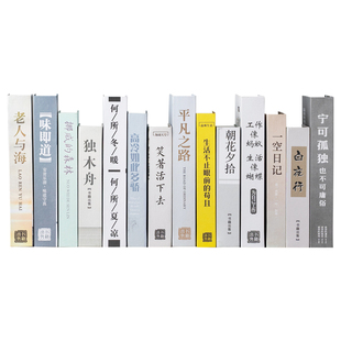 假书仿真书现代简约道具书装饰品摆件家居创意北欧风装饰书壳摆设