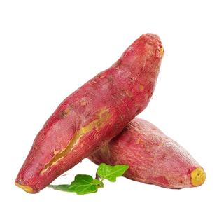 陕西板栗蜜薯8斤新鲜沙地现挖红薯地瓜蕃薯山芋蔬菜整箱5包邮