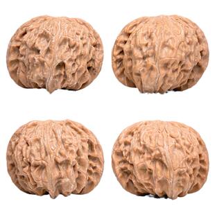 文玩核桃精品狮虎兽核桃一物一图A69547老树有修麦穗虎头大尺46mm