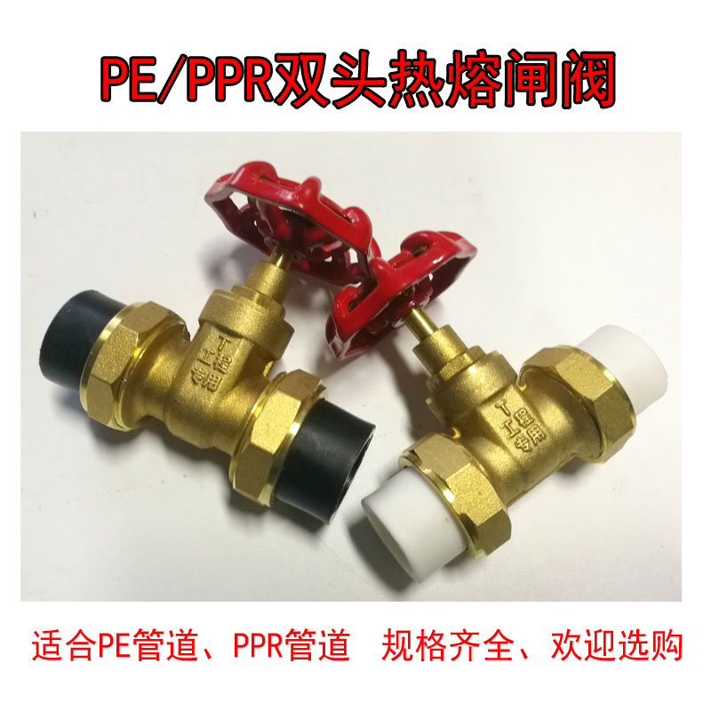 PPR双活接闸阀 PE活接阀门止水阀自来水开关 铜截止阀水管配件
