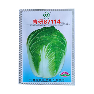 琴萌青研87114白菜种子中晚熟丰产一致性高耐贮藏抗病性强白菜籽