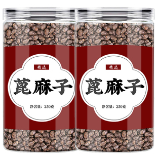 中药蓖麻子500g正品蓖麻籽种子冰麻子红大麻子芘麻子新鲜生蓖麻仁