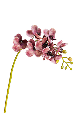 高级感中式仿真锦鲤蝴蝶兰插花