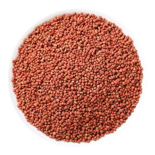 野生楮实子500g250g100g中药材褚实子的功效新货熟渚实子炒楮实子