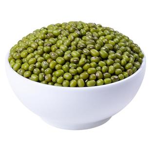 新货2025年绿豆发豆芽专用豆子东北发绿豆芽豆子商用农家新鲜发芽