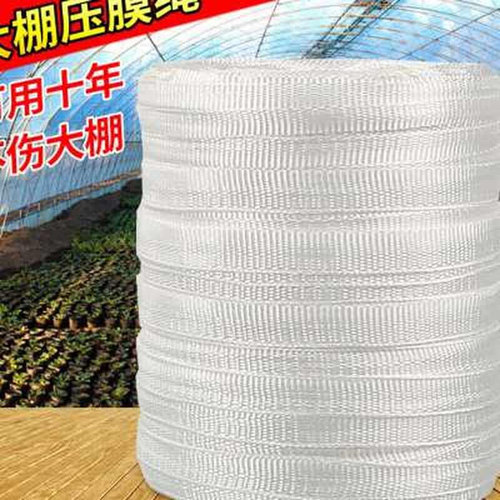 新品大棚压膜线塑料大棚压膜绳压膜带塑料绳子捆绑绳品