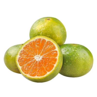 云南蜜橘青皮橘子新鲜桔子应季时令水果当季整箱蜜桔柑橘产地直发