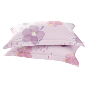 博洋家纺全棉枕套一对装纯棉枕头套双人100棉春冬北欧男48x74通用