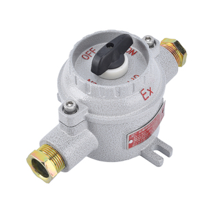 防爆墙壁开关照明单开双开SW-1016A厂房车间国标加厚IICT气体明装