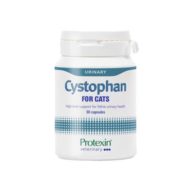 沙斯多芬普乐特新猫咪膀胱养护