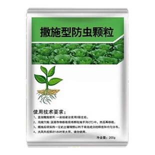 果树杀虫专用药天牛克星树洞虫杀虫颗粒天牛幼虫钻心虫涂白杀虫剂