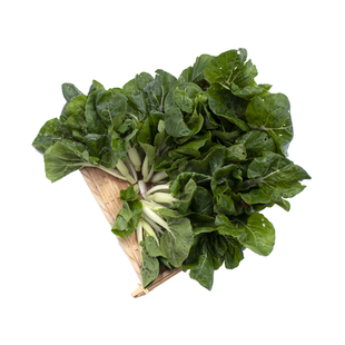 东升农场 有机奶白苗新鲜小白菜苗火锅食材 广州时令蔬菜配送250g