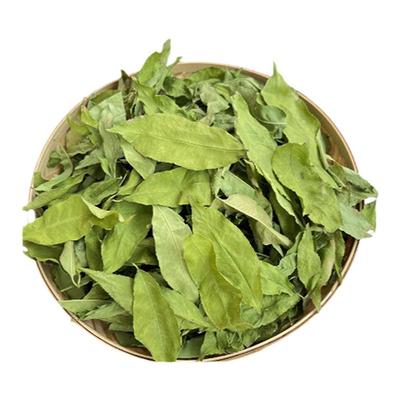 2025年野生桃叶中药材新货毛桃叶