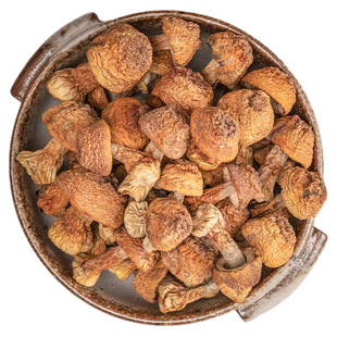 云南特产无熏硫姬松茸干货500g非生野松茸菌天然食材健康美味蘑菇