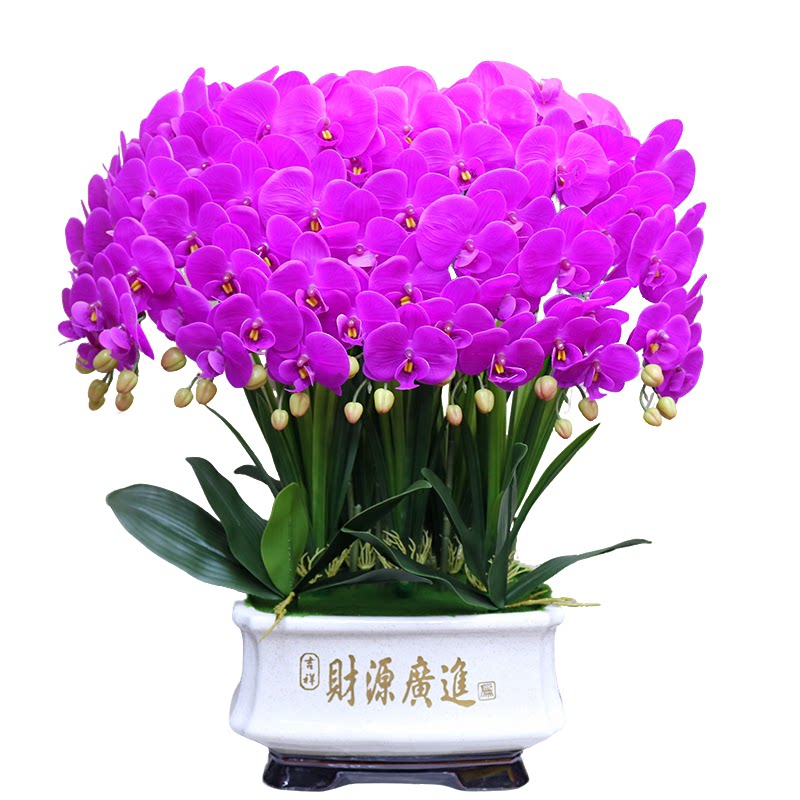高档仿真花特大号保湿手感蝴蝶兰客厅茶几装饰电视柜玄关假花摆设