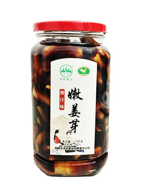 齐松腌制酱汁姜嫩姜芽下饭菜开胃