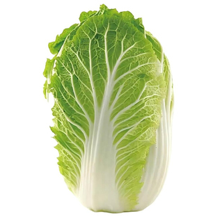新鲜大白菜现砍现发批发正宗云南黄心白菜当季时令蔬菜批发包邮