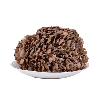 新鲜舞茸菌【顺丰包邮】又名灰树花菇 鲜嫩菇香 炒菜炖汤火锅食材