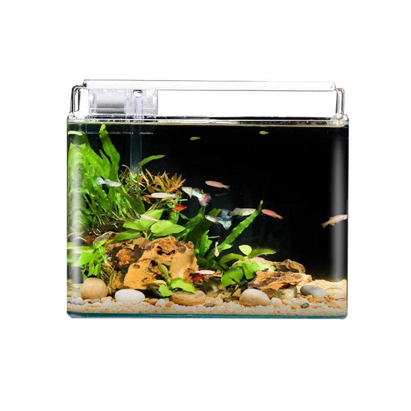 热弯玻璃鱼缸客厅中小型裸缸长方形龟缸创意桌面水族箱造景金鱼缸