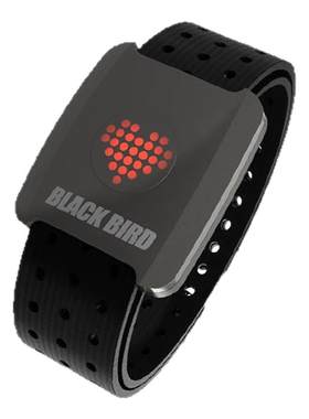 黑鸟BlackbirdHR5心率臂带新款