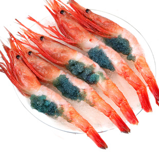 北极甜虾刺身生吃俄罗斯海鲜鲜活超特大冰虾牡丹新鲜日料甜虾即食