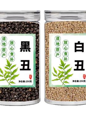 中药黑丑二丑白丑牵牛子喇叭花子白千牛籽药用野生新鲜干货泡水喝