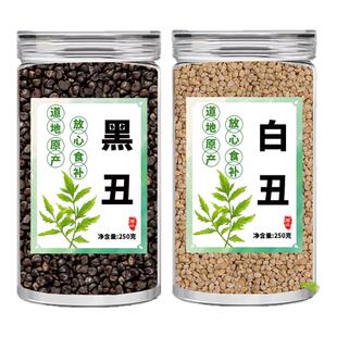 中药黑丑二丑白丑牵牛子喇叭花子白千牛籽药用野生新鲜干货泡水喝