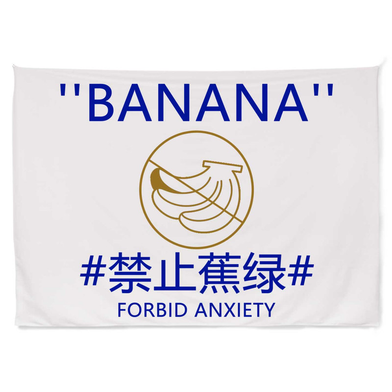 简约出租房遮丑定制挂布