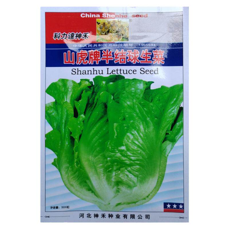 山虎牌半结球生菜种子耐寒耐热