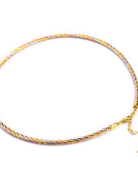 E麦儿意大利S925彩银女麻花项圈