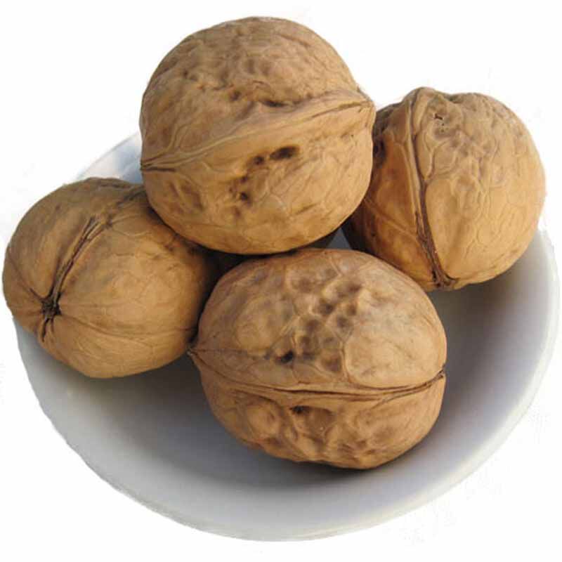 新货500g新疆阿克苏特产薄皮核桃原味新货散装无加工干果包邮
