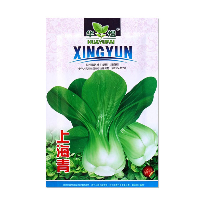 华煜上海青种子蔬菜籽