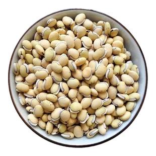 2026年云南正宗老品种黑边白扁豆中药材食用扁豆农家自种新货饱满