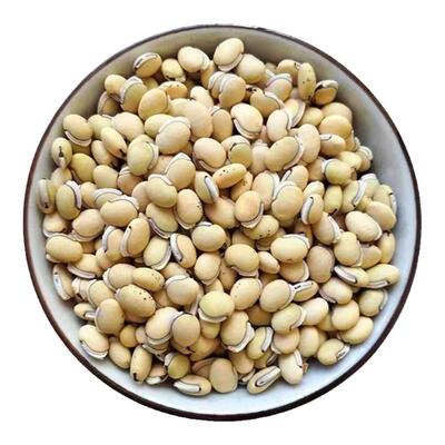 2026年云南正宗老品种黑边白扁豆中药材食用扁豆农家自种新货饱满