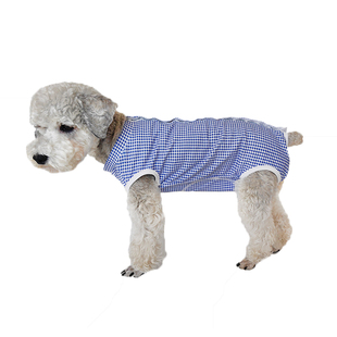 秋新款泰迪比熊犬狗狗纯棉包肚背心母断奶绝育护肚子包蛋格子衣服