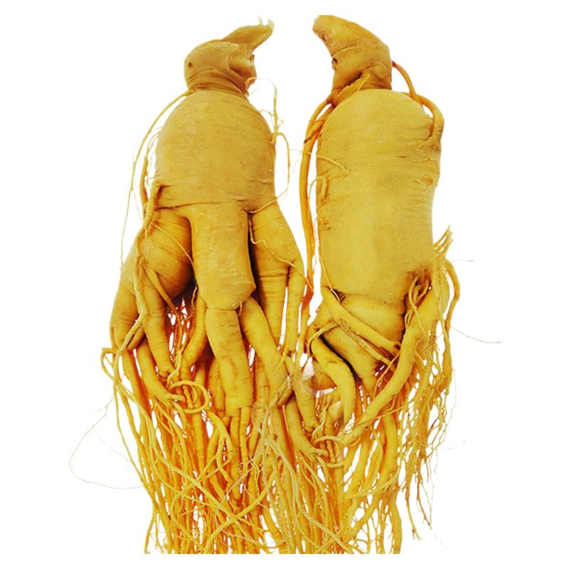 人参中药材泡酒专用长白山人参东北特产鲜人参非野山参林下参