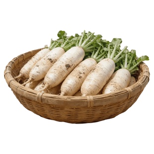 广东清远白萝卜原生态种植新鲜蔬菜产地直供煲汤营养鲜甜香脆爽口