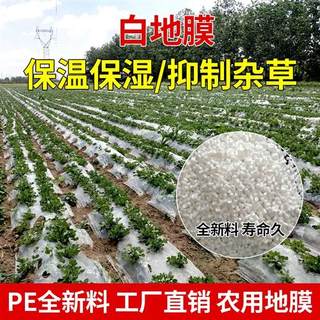 白地膜农用银黑色薄膜果树果园保温保湿蔬菜棚工程混凝土保护薄膜