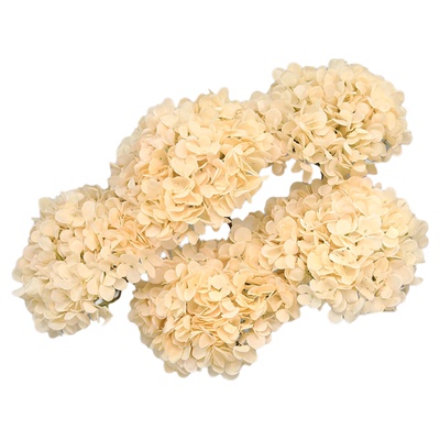 婚庆香槟仿真花绢花装饰花艺假花