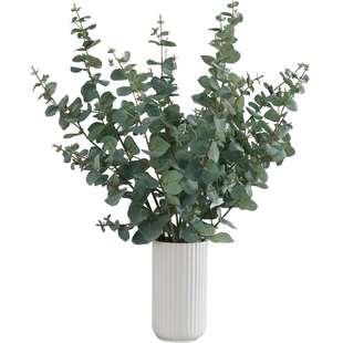 南十字星 北欧ins家居复古仿真尤加利枝 客厅装饰插花蓝胶尤加利