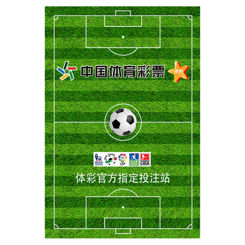 美加世界杯室内客厅足球地毯