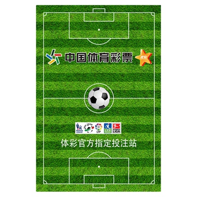 美加世界杯室内客厅足球地毯
